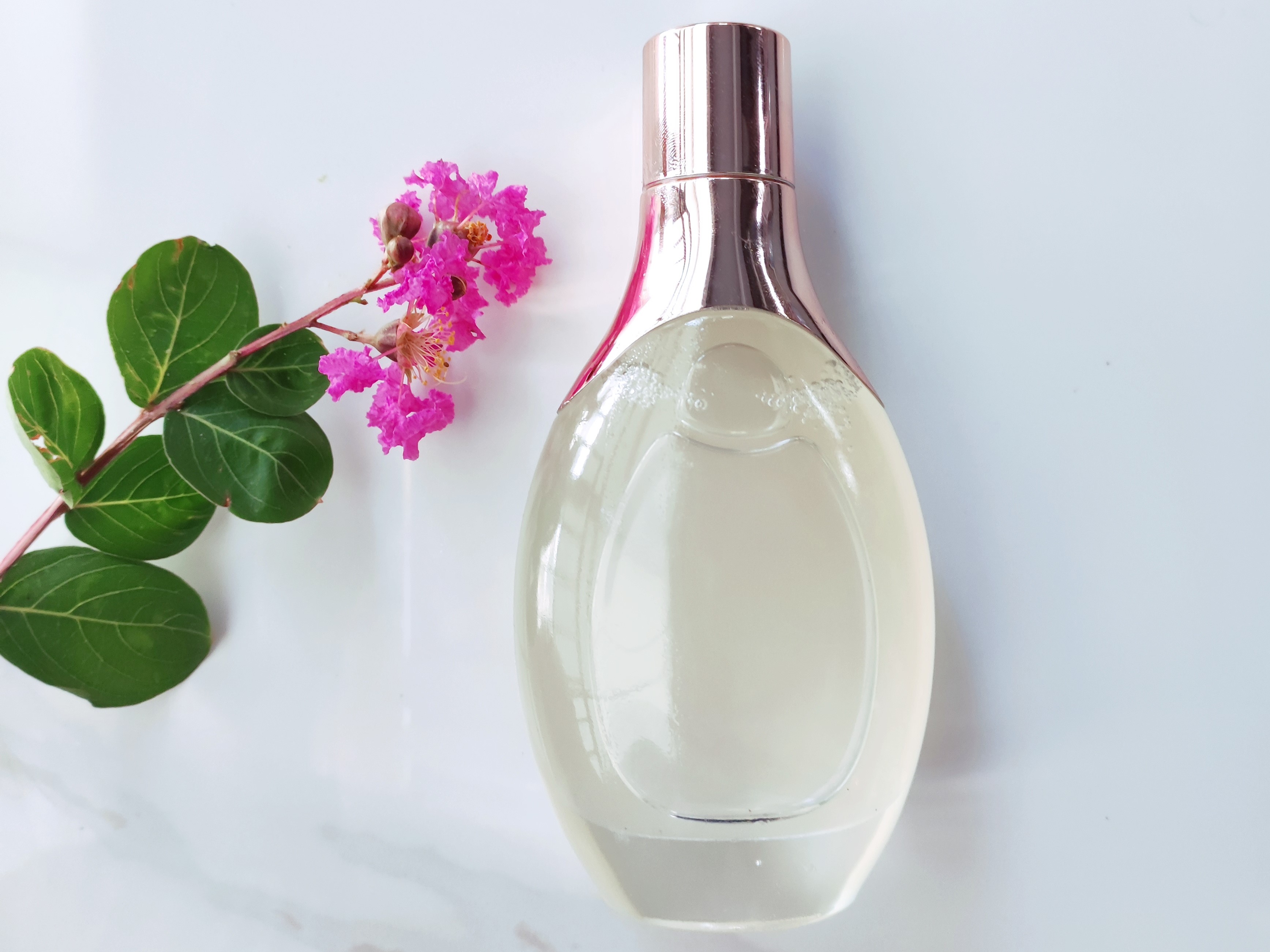 聚甘油-10 月桂酸酯